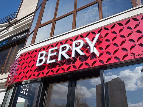 Фото 3 работы «BERRY»