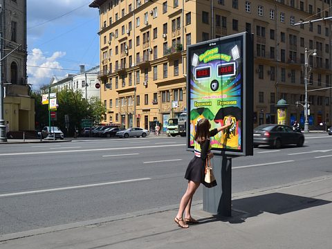 Фото 2 работы «"Выбери победителя"»