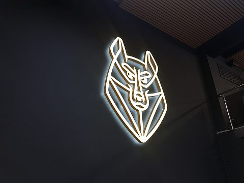 Фото 5 работы «Комплексное оформление спортивного клуба "Акела", Братск»
