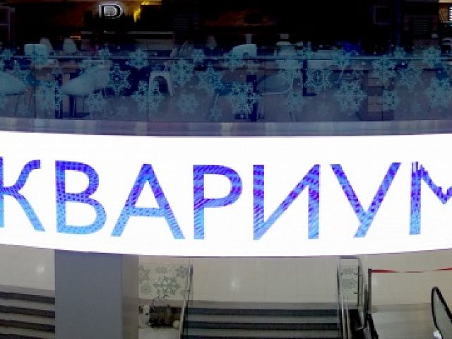 Видеоэкраны для Москвариума, изготовитель Дисплей Маркет