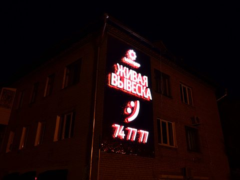 Фото 4 работы «Живая вывеска»