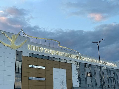 Фото 7 работы «Оформление фасада "Центра художественной и эстетической гимнастики"»