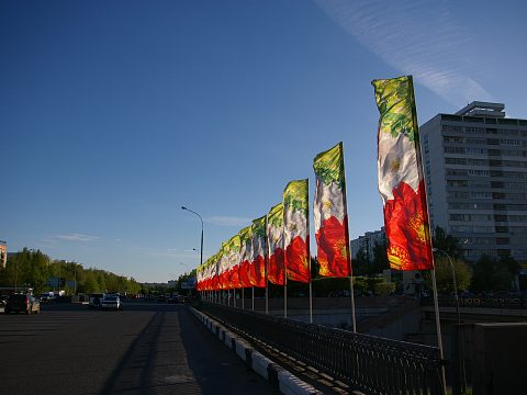 Фото 2 работы «Флаги над Челнами»