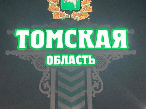 Фото 6 работы «Объект архитектурно-художественного оформления "Въездной знак Томской области"»
