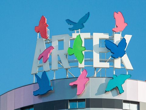 Фото 5 работы «Артек»