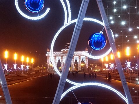 Фото 4 работы «Ель "Ажурная". ВДНХа»