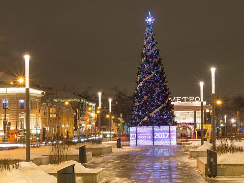Фото 2 работы «Массовое брендирование елей к Новому 2017 году»