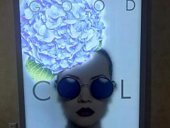 Светодинамическая подсветка. Возможен любой сценарий. — фото 4, изготовитель Smart led