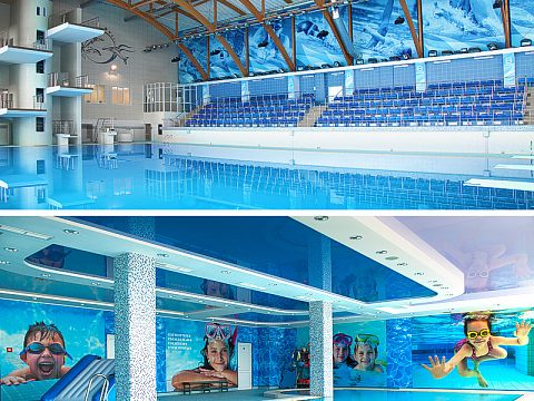 Фото 5 работы «Дворец Водных Видов Спорта»