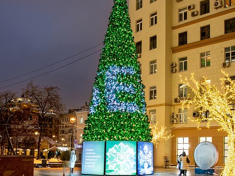 Фото 7 работы «Светодинамичные конструкции с использованием контроллеров. Ели СБЕР.»
