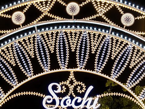 Фото 5 работы «Комплекс декоративных светодиодных конструкций»