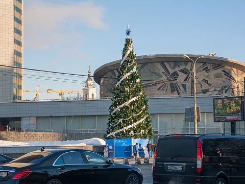 Фото 6 работы «Массовое брендирование елей к Новому 2017 году»
