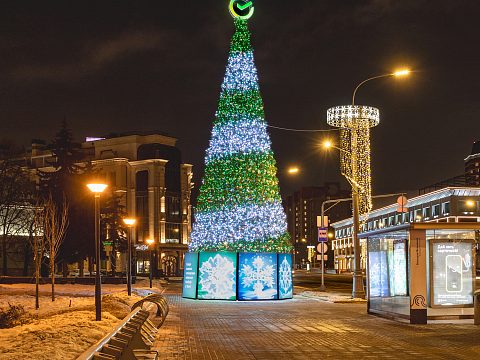 Фото 6 работы «Светодинамичные конструкции с использованием контроллеров. Ели СБЕР.»