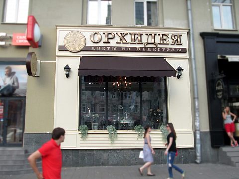 Фото 2 работы «Оформление магазина Орхидея»