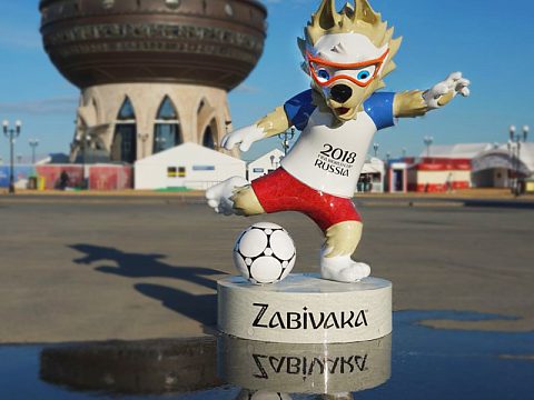 Фото 4 работы «Забивака»