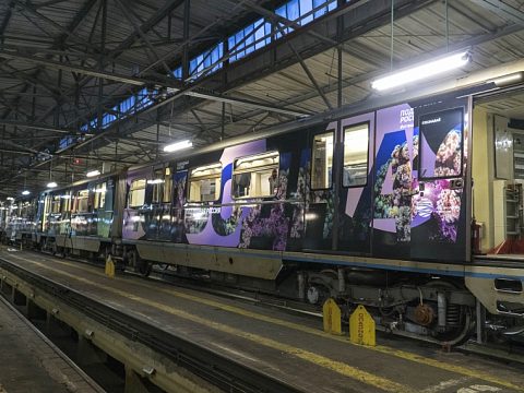 Фото 2 работы «Тематический поезд московского метрополитена "Год экологии"»