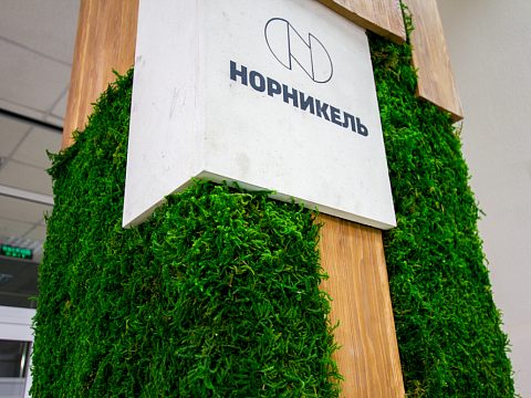 Фото 4 работы «Колонна "Норникель"»