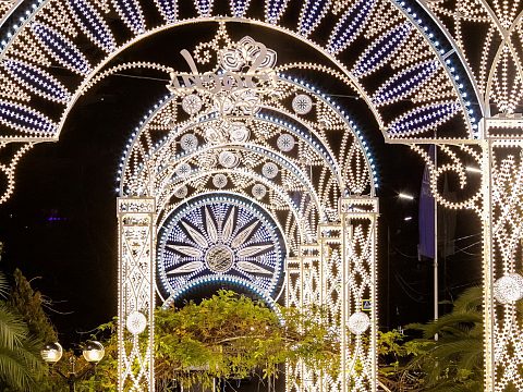Фото 10 работы «Комплекс декоративных светодиодных конструкций»