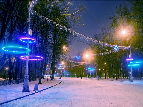 Фото 3 работы «Оформление ГАУК "Сокольники"»