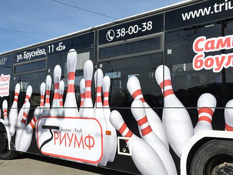 Фото 5 работы «Боулинг "Триумф"»