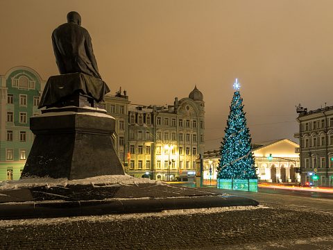 Фото 5 работы «Массовое брендирование елей к Новому 2017 году»