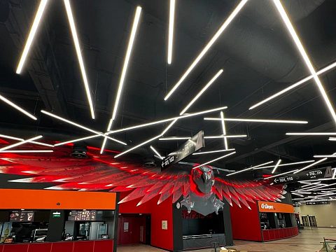 Фото 9 работы «Авангард. Комплексное оформление Хоккейной арены G-Drive»