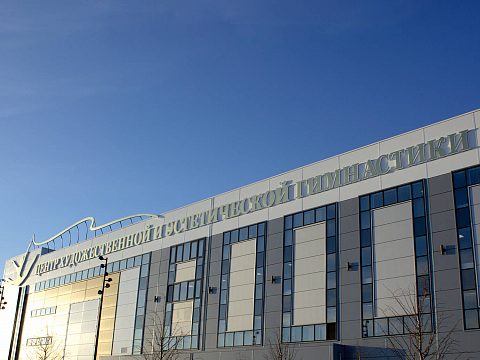 Фото 3 работы «Оформление фасада "Центра художественной и эстетической гимнастики"»