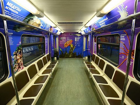Фото 5 работы «Тематический поезд московского метрополитена "Год экологии"»