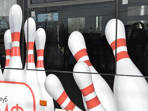 Фото 6 работы «Боулинг "Триумф"»