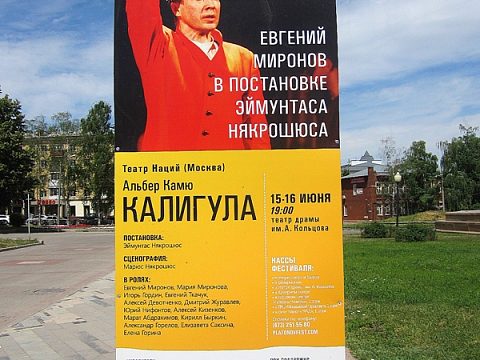 Фото 6 работы «Информационная поддержка Международного Платоновского фестиваля с  использованием конструкций для праздничного оформления города»