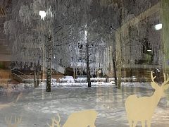 Сказочные олени — фото 3, изготовитель Рунис