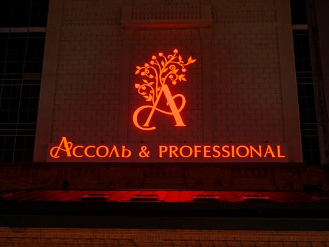 Фото 5 работы «Клиника пластической хирургии "Ассоль & Professional"»