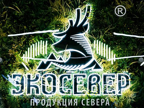 Фото 3 работы «ЭкоСевер»