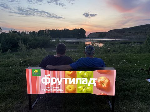 Фото 4 работы «Фестиваль "Динотерра"»