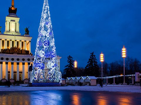 Фото 2 работы «Ель "Ажурная". ВДНХа»