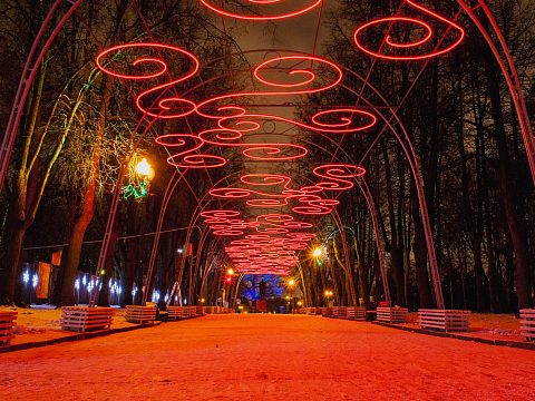 Фото 3 работы «Световое небо в парке "Измайловский"»