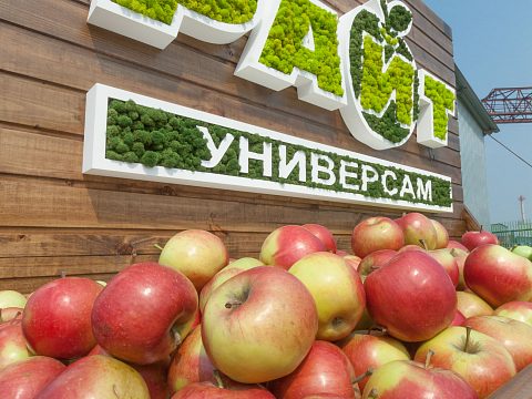 Фото 2 работы «Логотип из мха для ТС "Райт"»