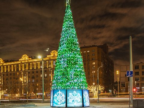 Фото 4 работы «Светодинамичные конструкции с использованием контроллеров. Ели СБЕР.»