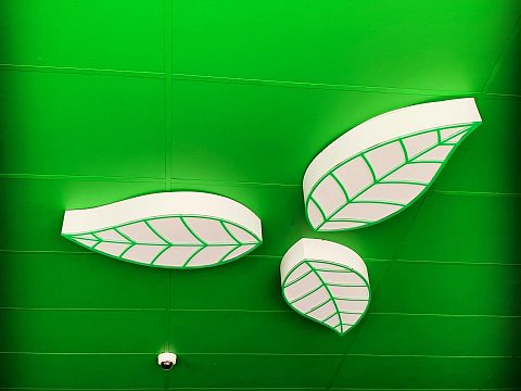 Фото 4 работы «Ресторан GreenTown»
