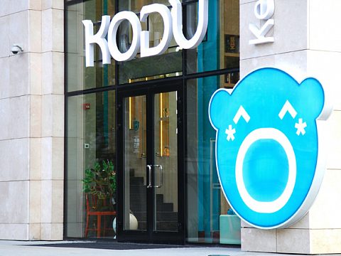Фото 3 работы «KODU»
