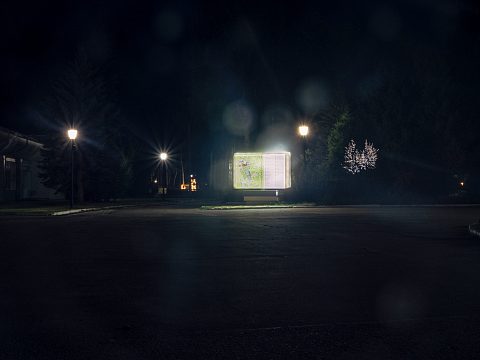 Фото 3 работы «Чудо КНИГА для санатория Нижне-Ивкино»