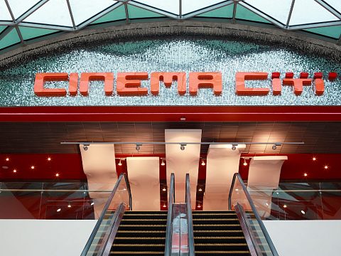 Фото 5 работы «CINEMA Citi»