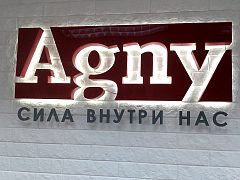 Логотип компании Agny