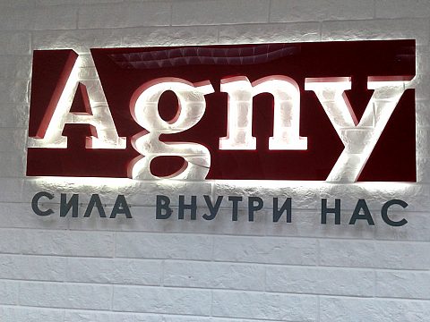 Логотип компании Agny — Навигатор Стайл