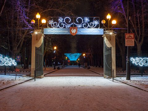 Фото 5 работы «Световое небо в парке "Измайловский"»