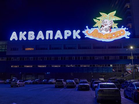 Фото 9 работы «Оформление Аквапарка "Лимпопо"»