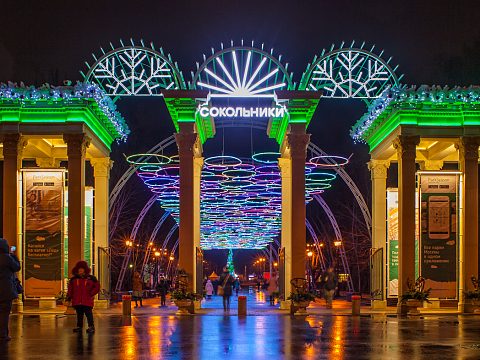 Фото 3 работы «Световое небо в парке "Сокольники"»