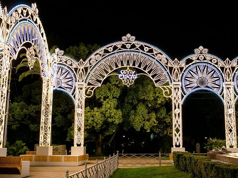 Фото 3 работы «Комплекс декоративных светодиодных конструкций»