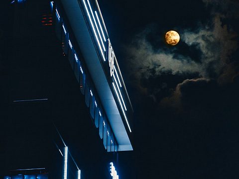 Фото 3 работы «LIGA»