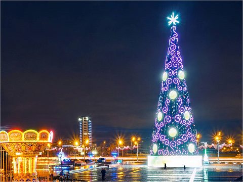 Фото 2 работы «Ель "Сбербанка" на Поклонной горе, высотой 46,7м»